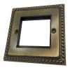 Single 2 Module Plate - the Single Module Plate will accept up to 2 Modules